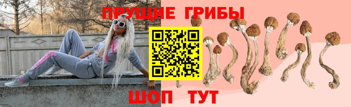 Кыштым  Галлюциногенные грибы Magic Shrooms  Вход с VPN  Псилоцибиновые грибы GOLDEN TEACHER 